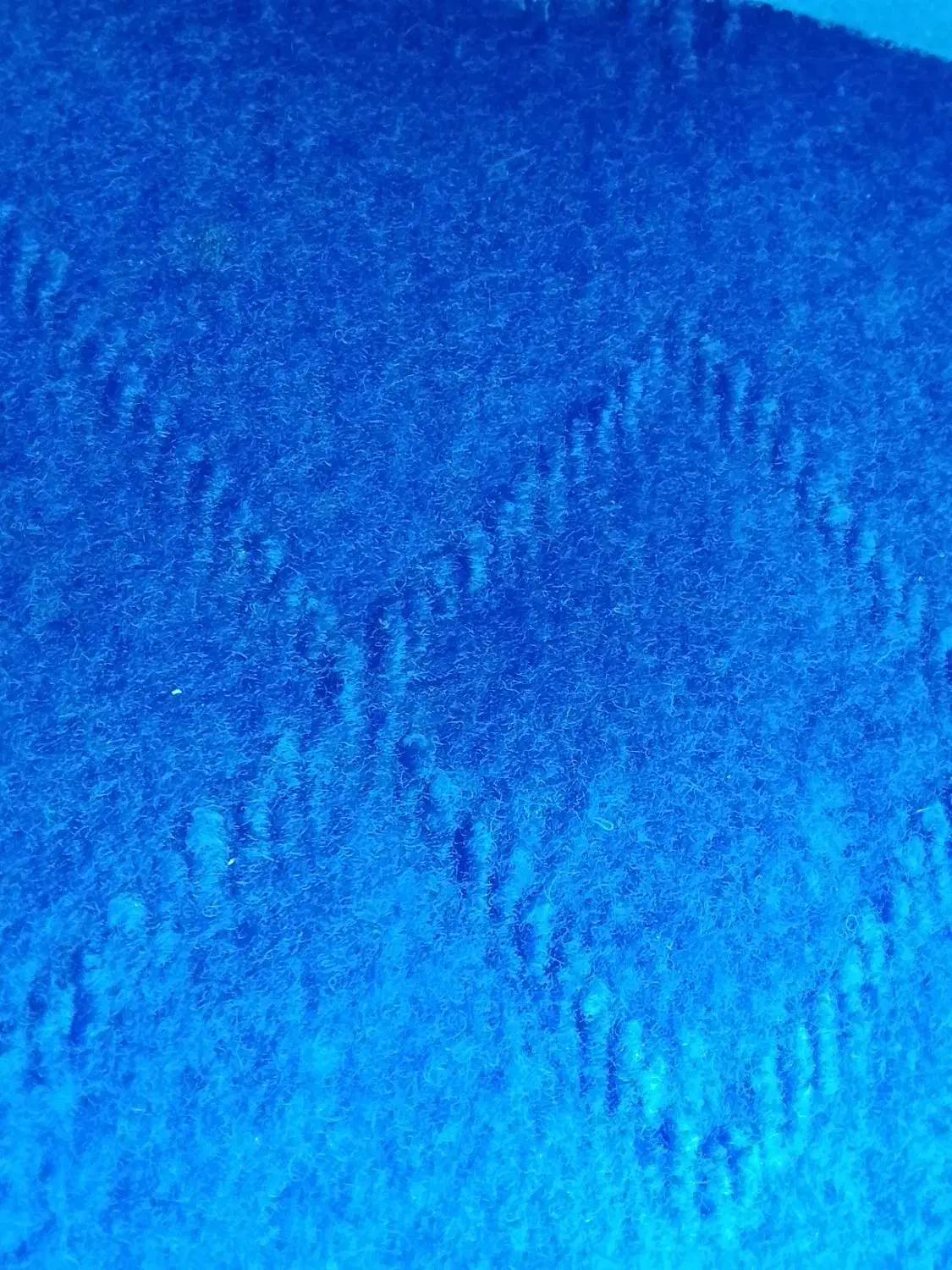 موکت|موکت|چناران, |دیوار