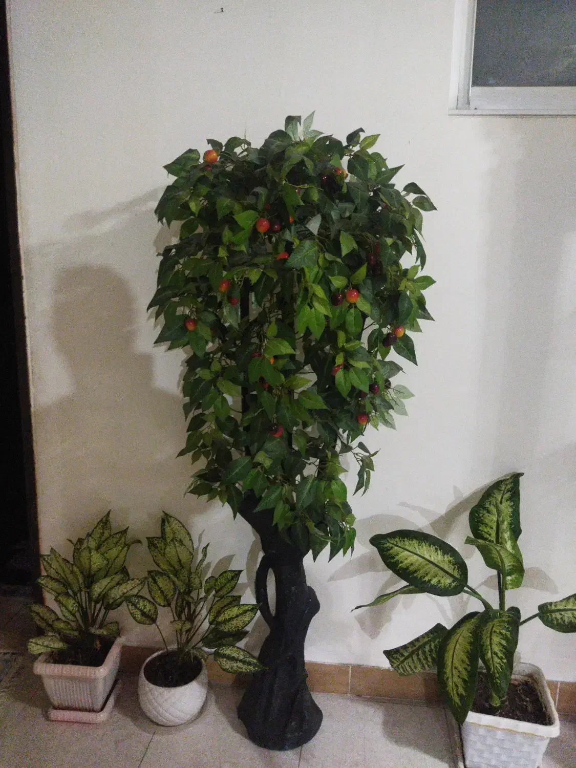 درختچه مصنوعی|گل مصنوعی|رشت, نیروی دریایی|دیوار