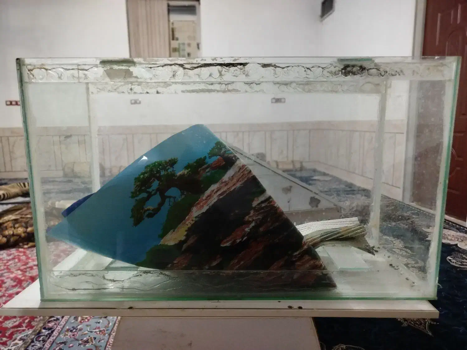 اکواریوم|لوازم جانبی حیوانات|شیراز, کوشک میدان|دیوار