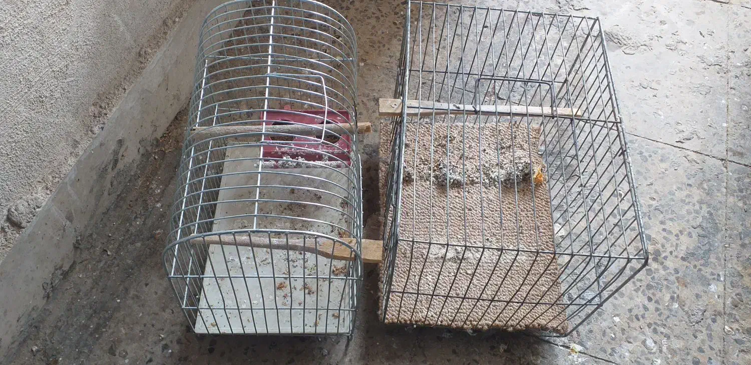 قفس کوچک|لوازم جانبی حیوانات|ایلام, |دیوار