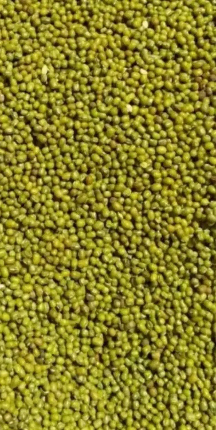 ماش محلی|خوردنی و آشامیدنی|چمران, |دیوار