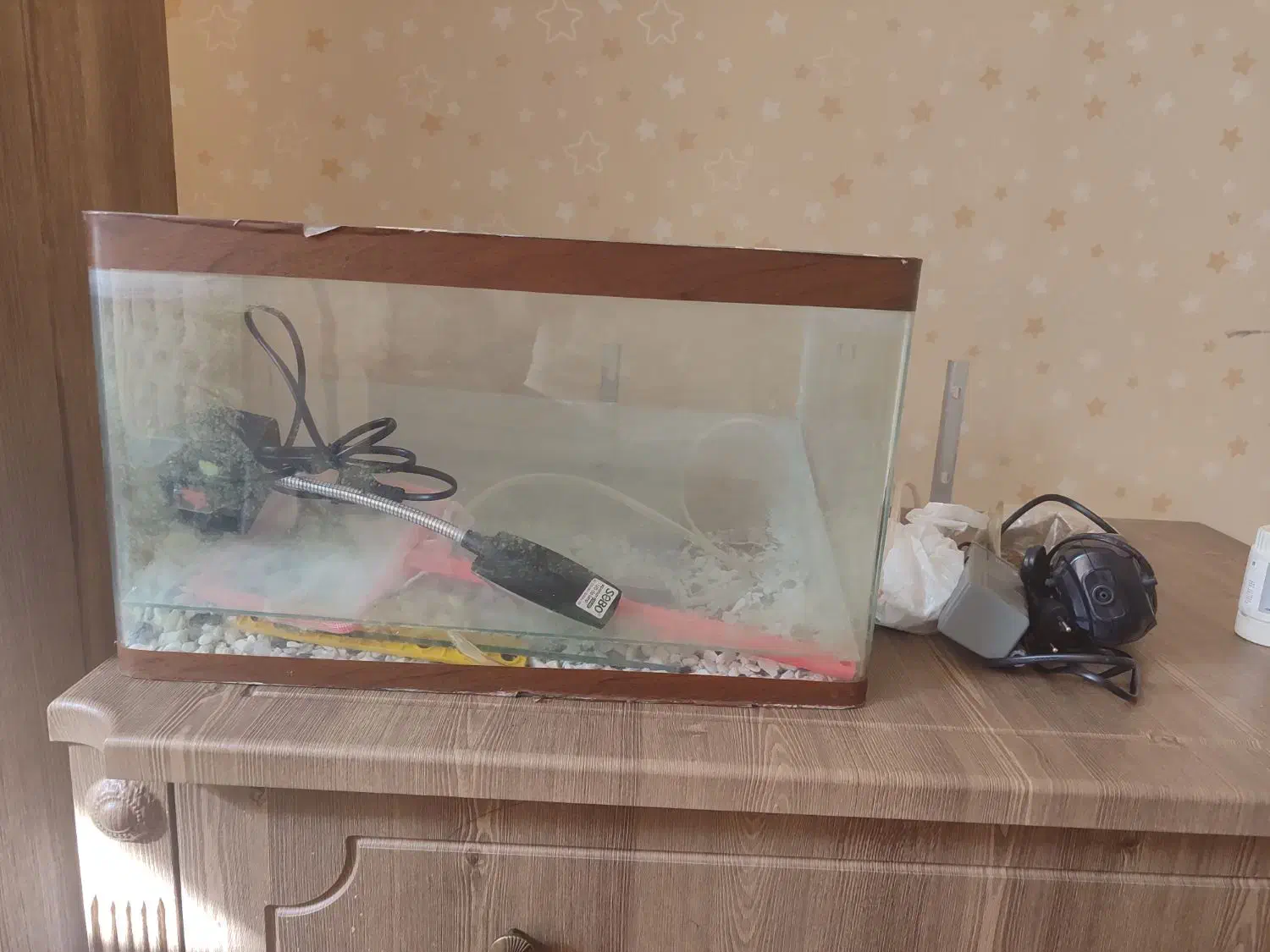 آکواریوم شیشه خم|ماهی|مشهد, آزادشهر|دیوار