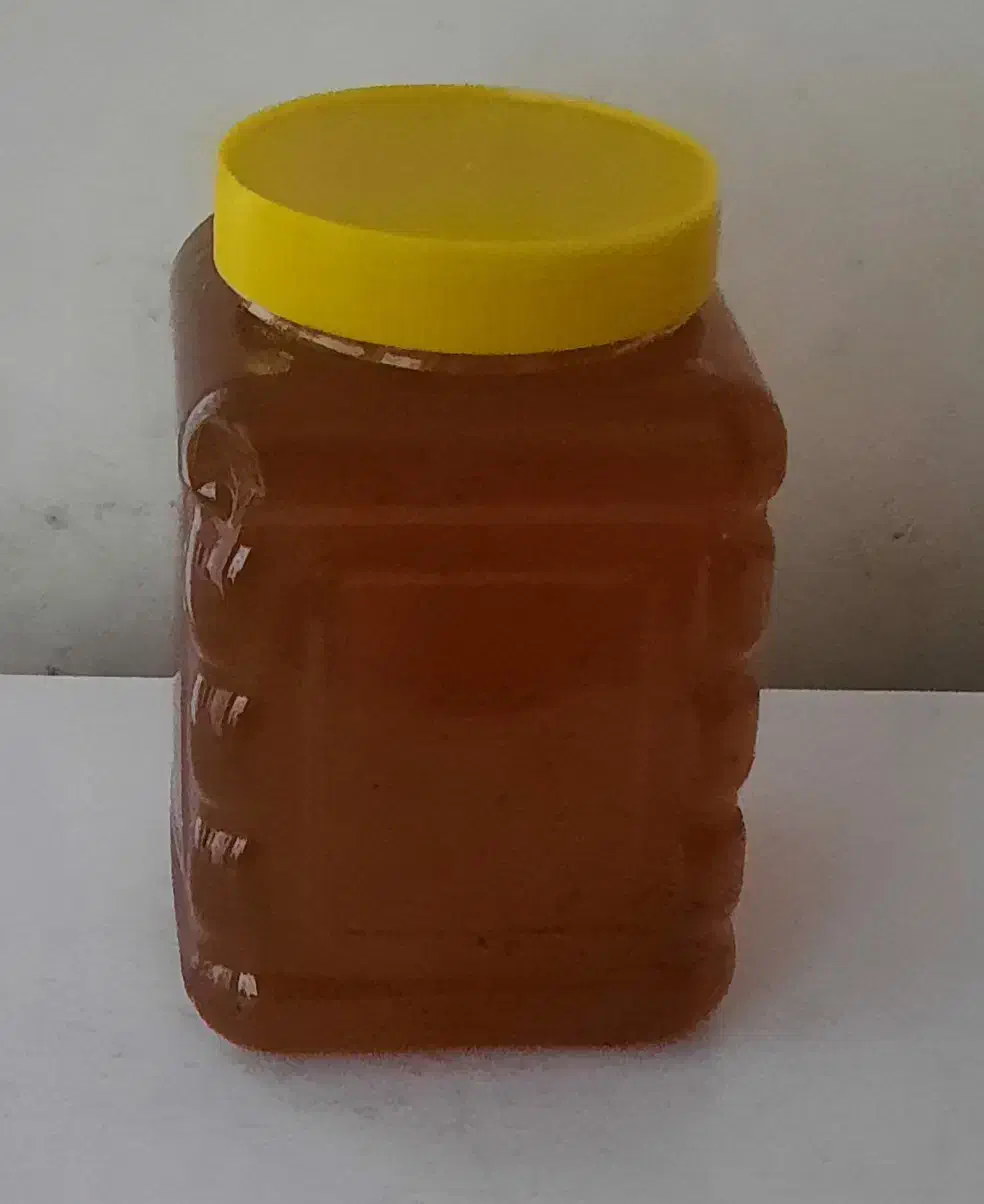 فروش عسل کُنار وگَوَن ارگانیک به صورت عمده و خرده|خوردنی و آشامیدنی|خفر, |دیوار