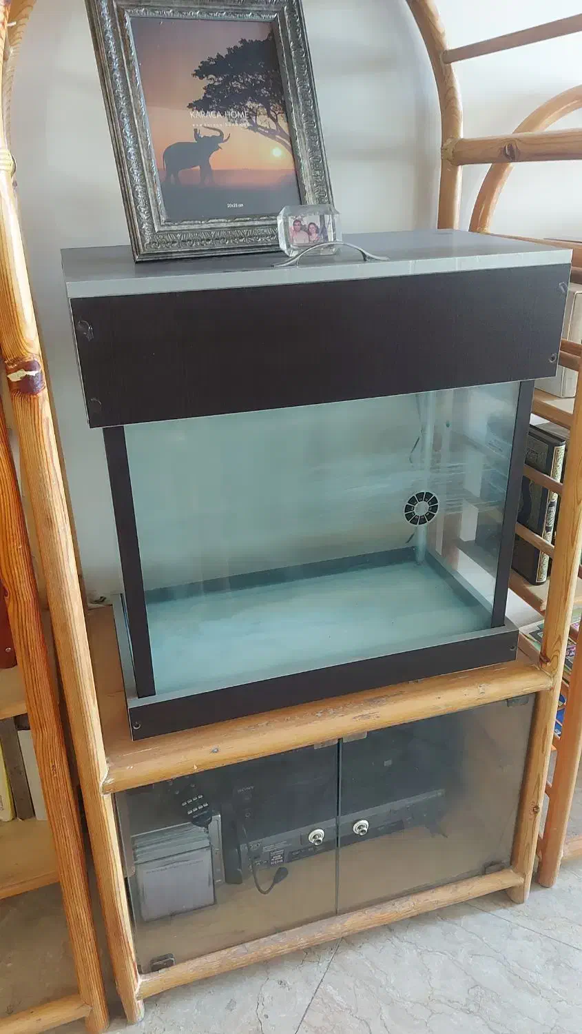 اکواریوم|ماهی|تهران, ورزشگاه آزادی|دیوار