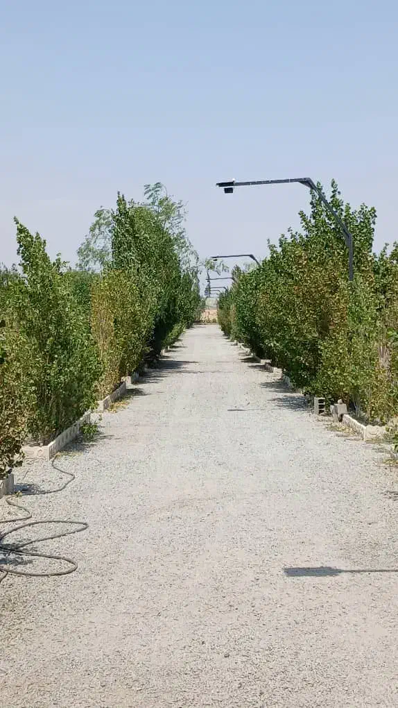 صاحب۲۰۰مترخانه ویلایی دربست بشی باپول قلکت|پیش‌فروش املاک|اندیشه, اندیشه فاز ۲|دیوار