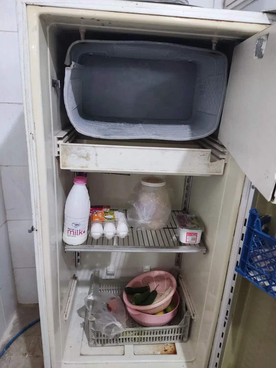 یخچال|یخچال و فریزر|یزد, |دیوار