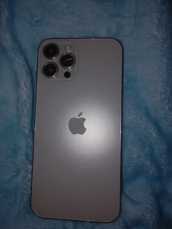 گوشی آیفون ۱۲پرومکس دو سیم ۲۵۶|موبایل|اقلید, |دیوار