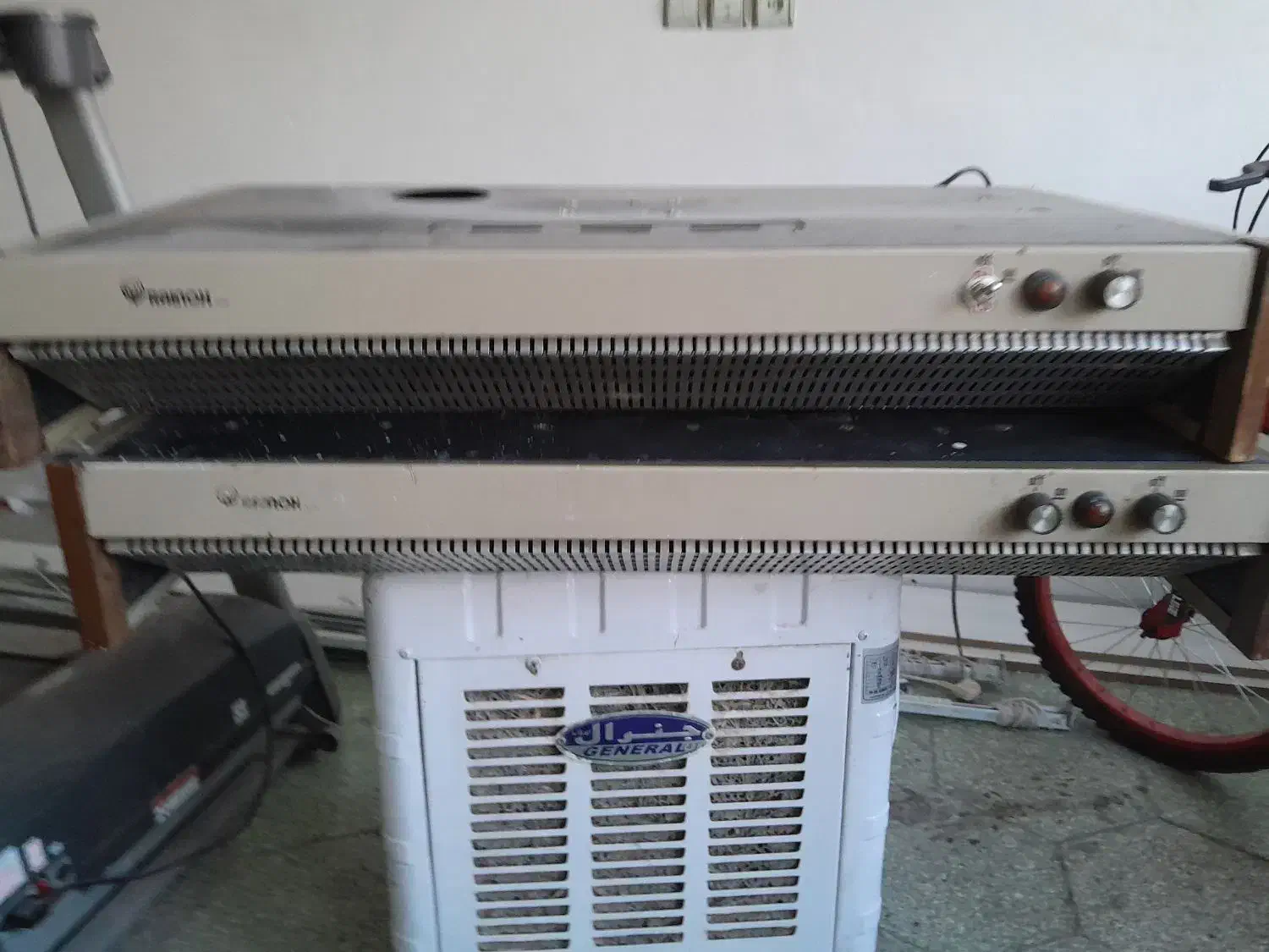 هود سالم|هود|مشهد, رضاشهر|دیوار