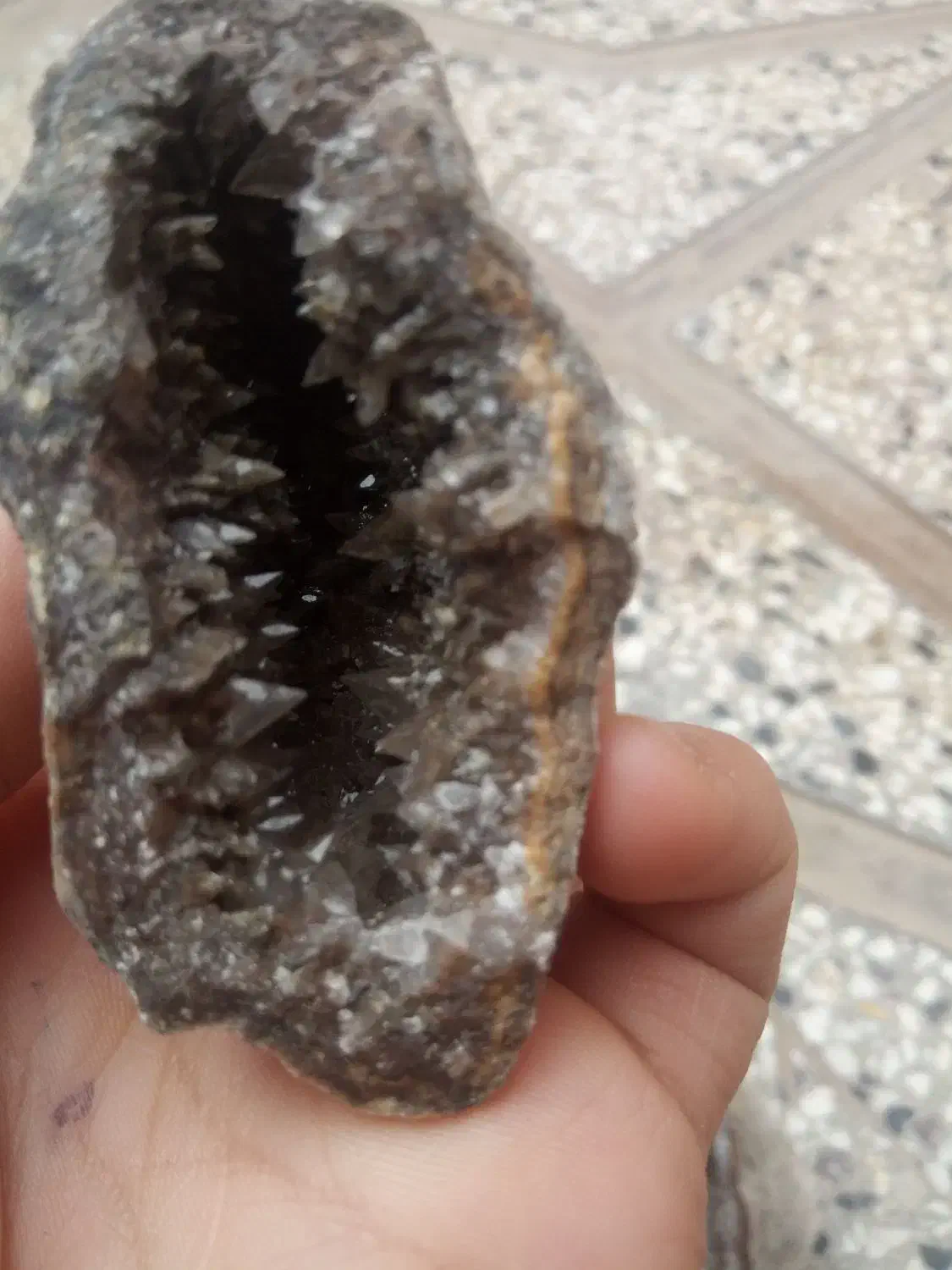 سنگ شجره راف|کلکسیون اشیاء عتیقه|شاهرود, |دیوار