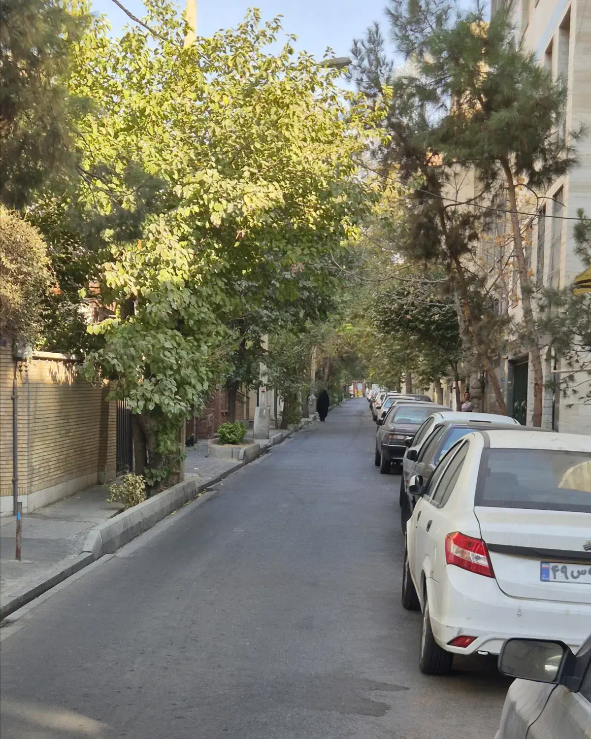 ۲۲۵متر، شمالی، تکمالک، ابعاد گونیا|فروش زمین و ملک کلنگی|تهران, تهرانپارس جنوبی|دیوار