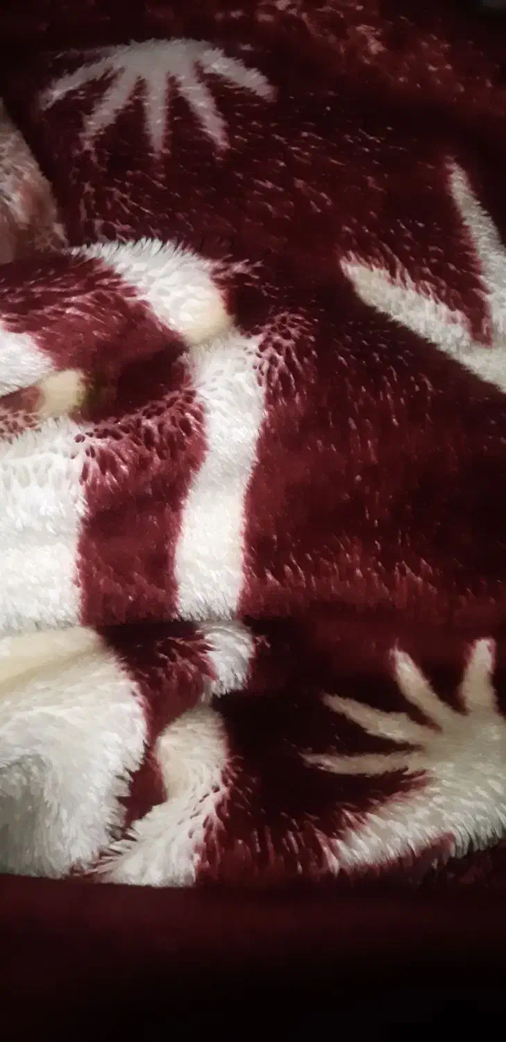 پتو پشمی قهوه ای|رختخواب، بالش، پتو|رشت, اسماعیل آباد|دیوار