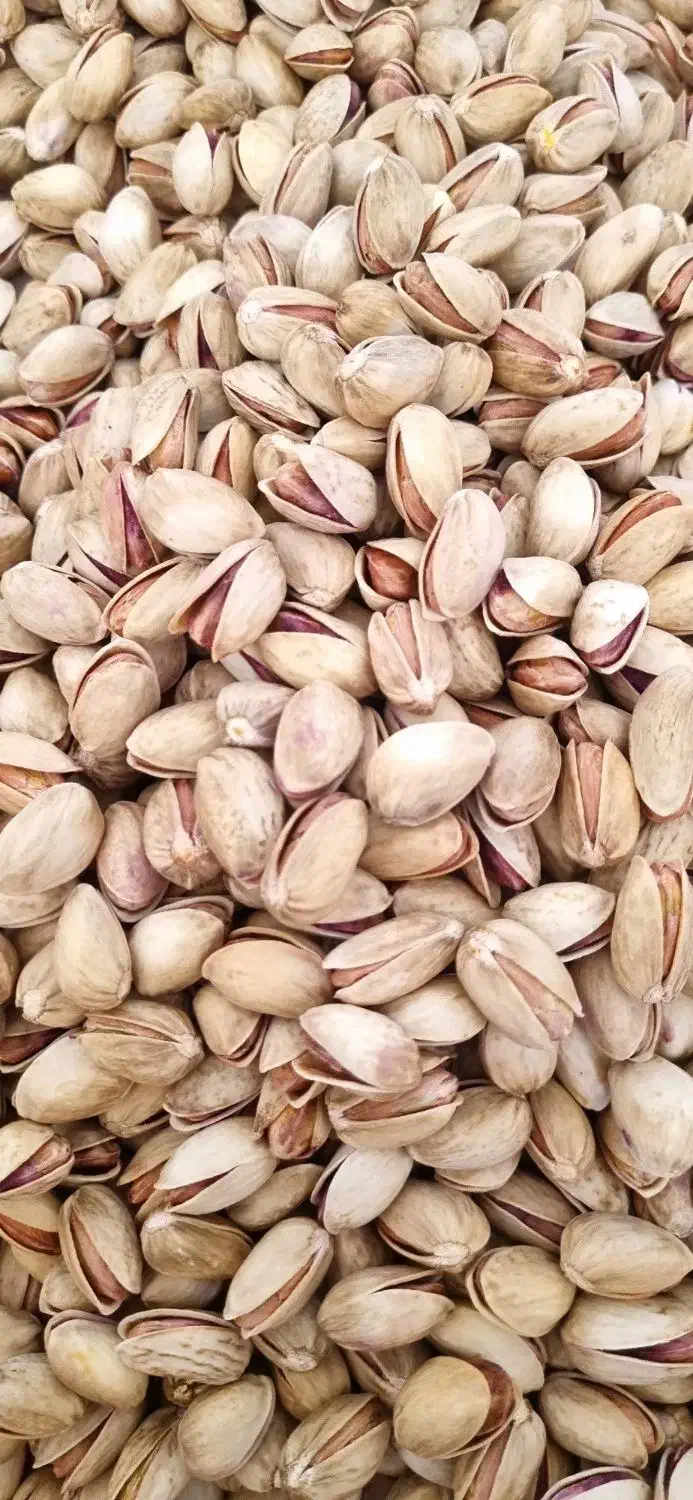 پسته ی خشک امساله|خوردنی و آشامیدنی|قم, شهرک قدس|دیوار