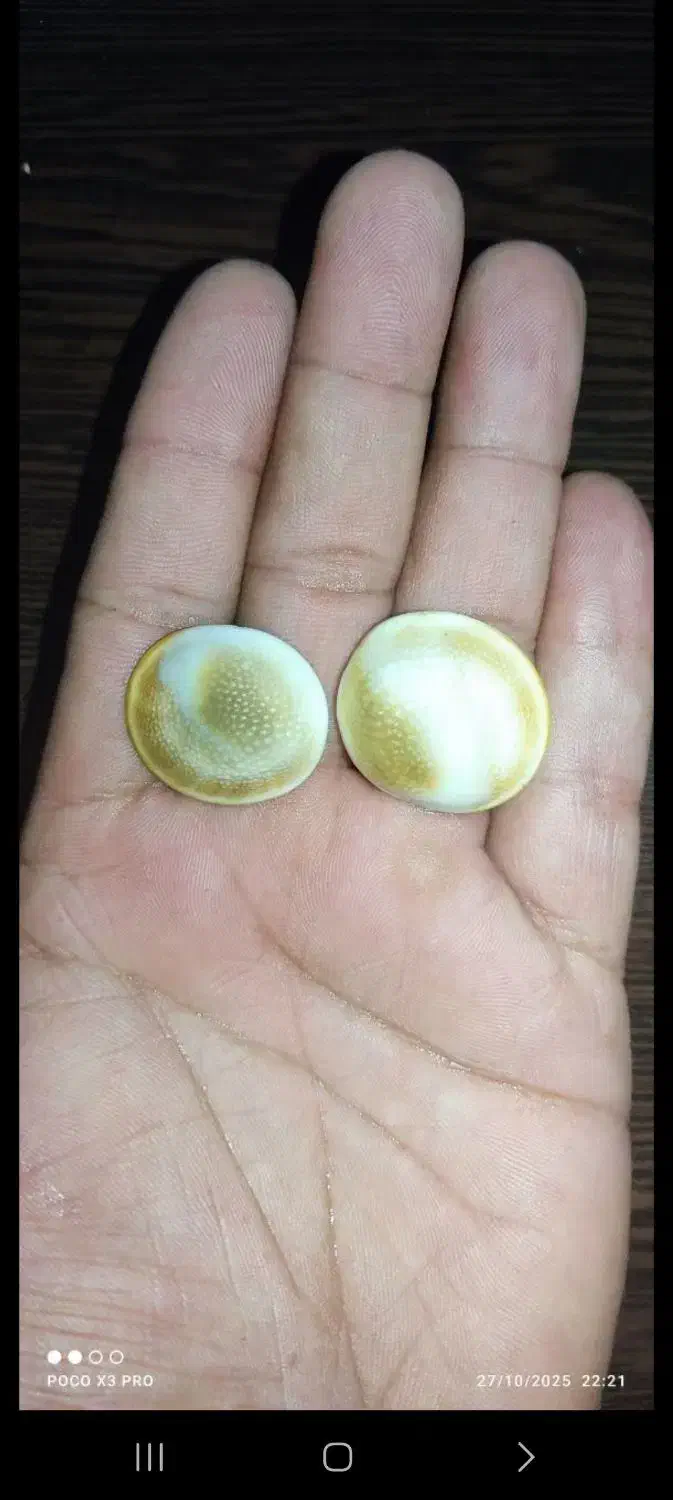 مهره قدیمی|جواهرات|کیار, |دیوار