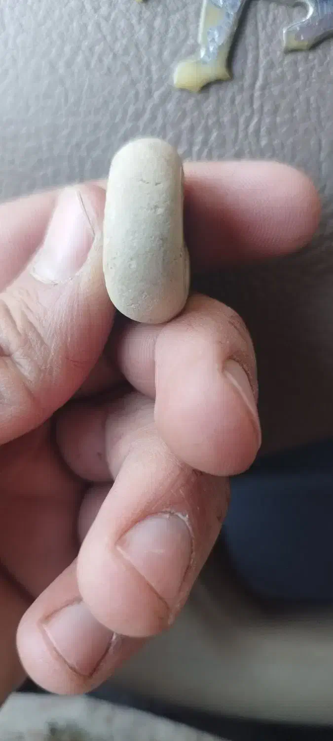 سنگ فسیل|کلکسیون اشیاء عتیقه|کرج, حسن آباد|دیوار