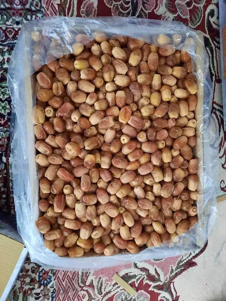 فروش ۵تن قصب درجه ۱|خوردنی و آشامیدنی|قیروکارزین, |دیوار