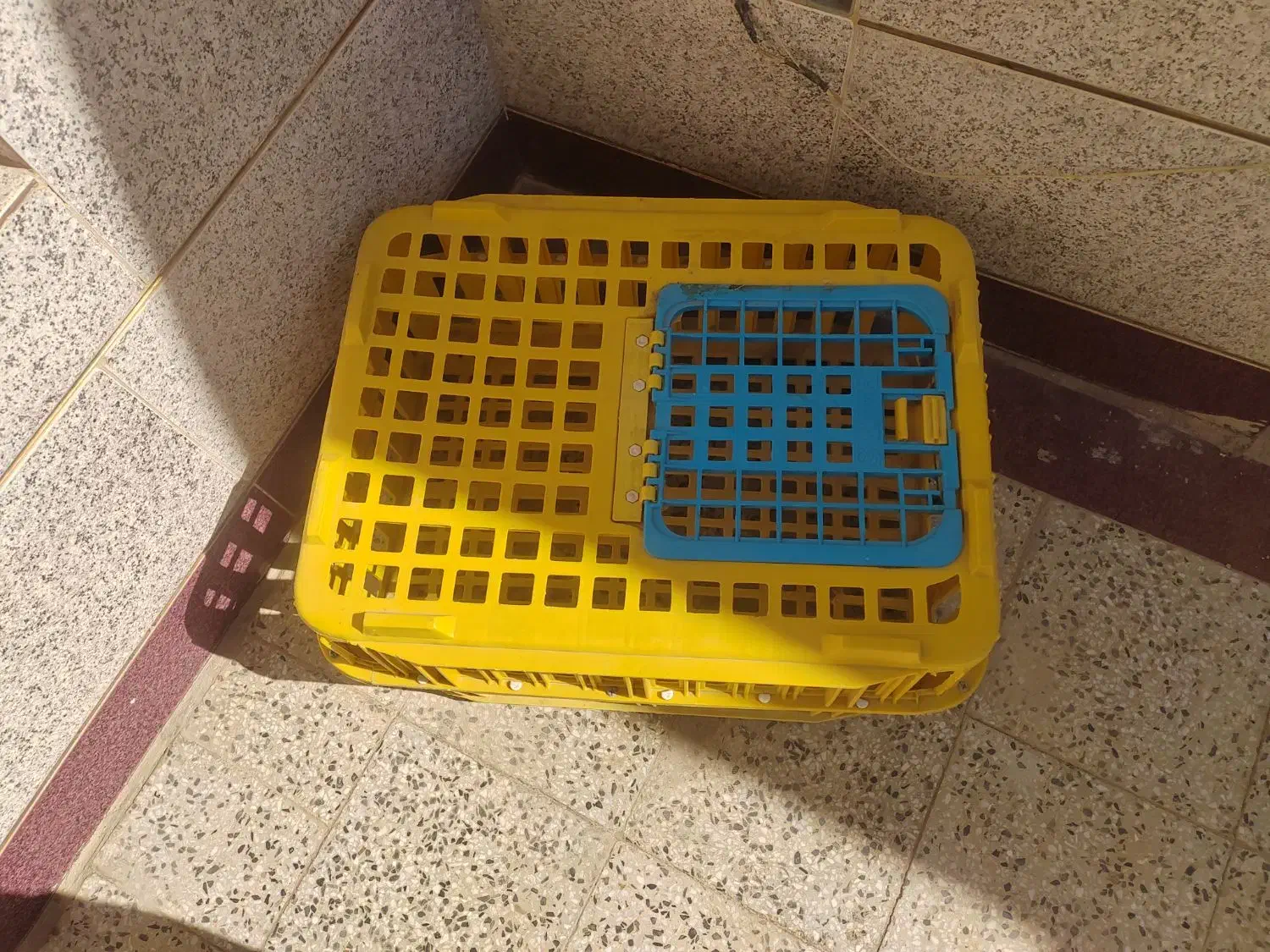 قفس حمل مرغ زنده|لوازم جانبی حیوانات|دهاقان, |دیوار