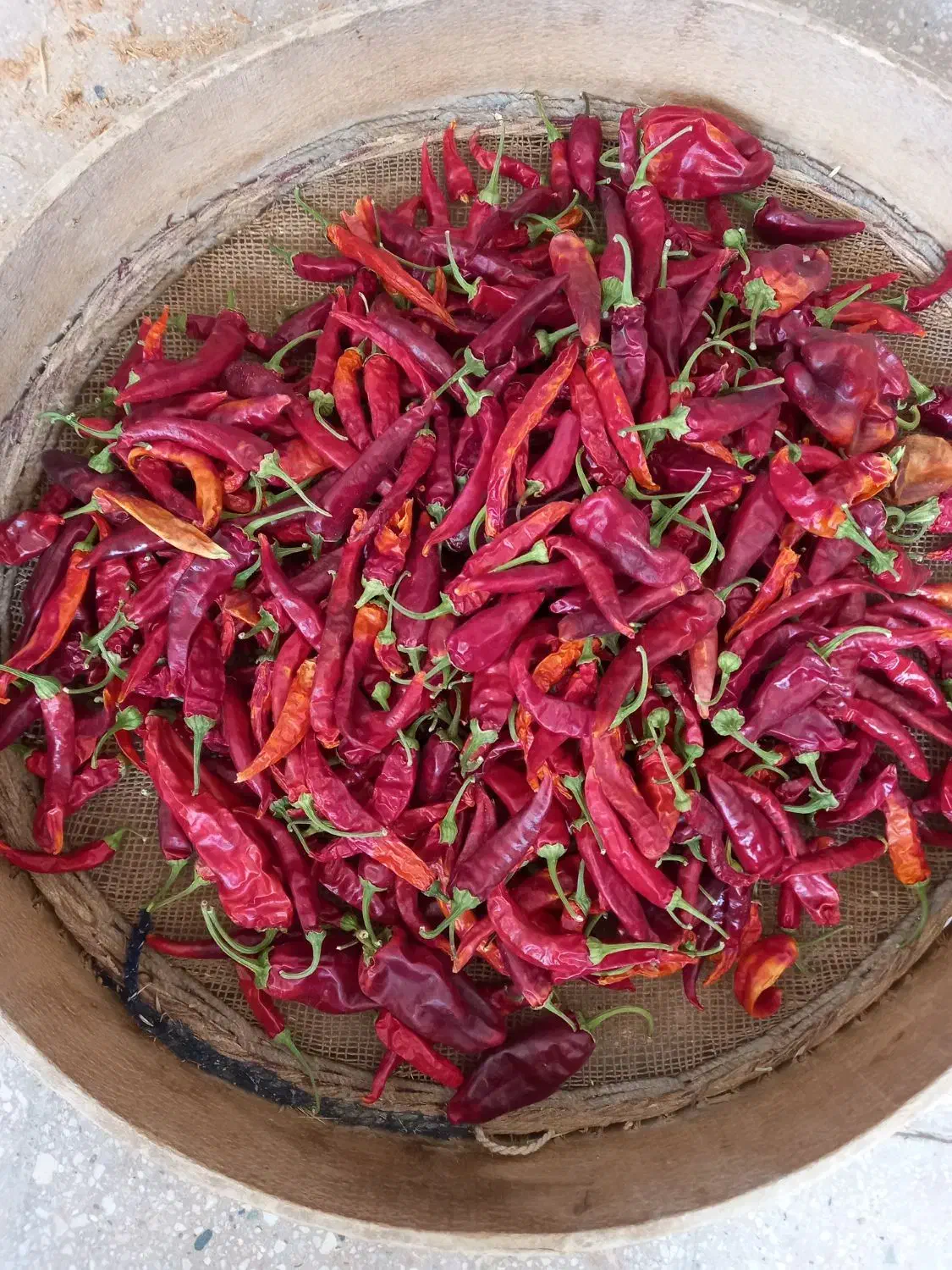 فلفل خشک تند|خوردنی و آشامیدنی|فولادشهر, فولادشهر|دیوار