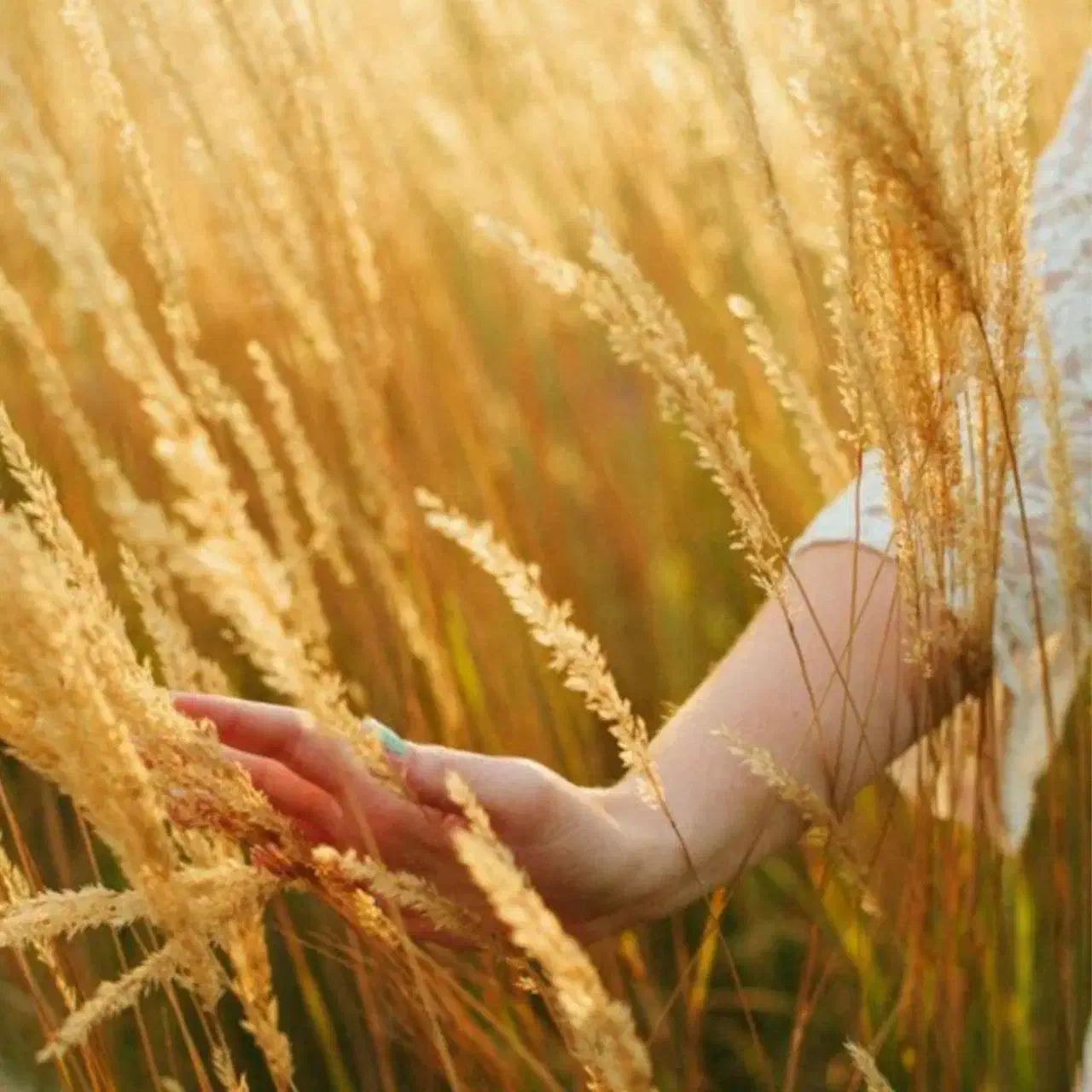 کاه گندم|حیوانات مزرعه|رودبار (کرمان), |دیوار