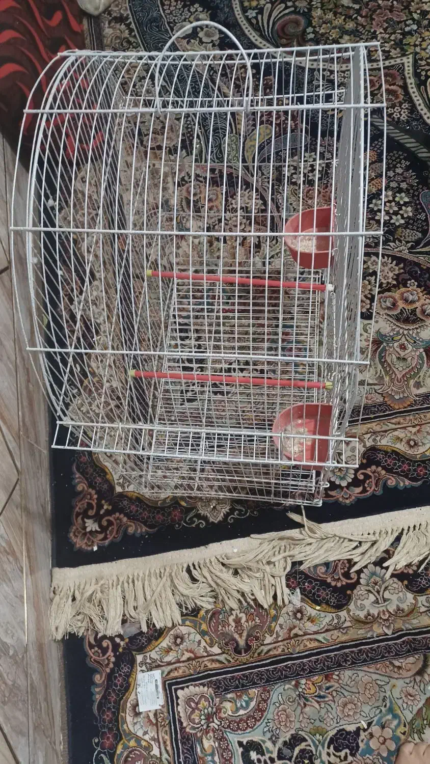 قفس عروس هلندی|لوازم جانبی حیوانات|آبادان, |دیوار