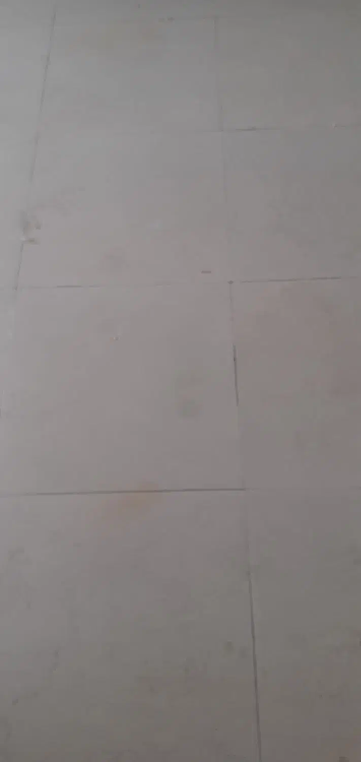 زمین مسکونی شهر دالکی|فروش زمین و ملک کلنگی|برازجان, |دیوار