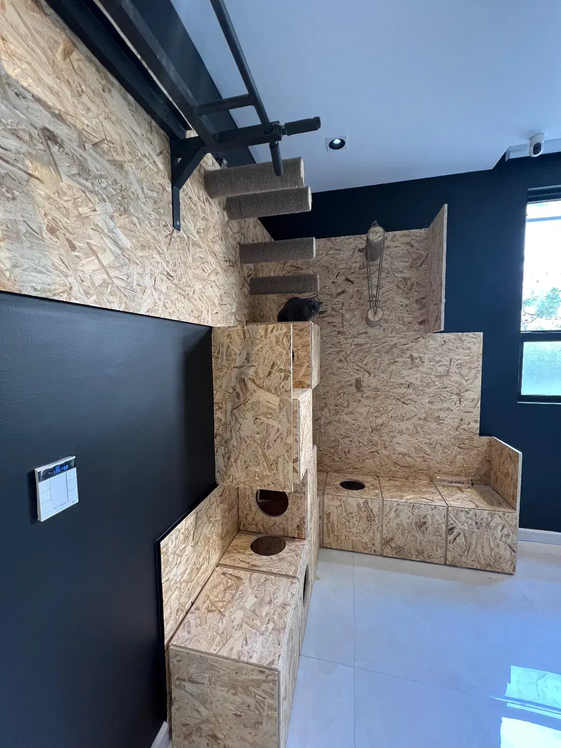 دکور اتاق بازی گربه و سگ|لوازم جانبی حیوانات|تهران, قیطریه|دیوار