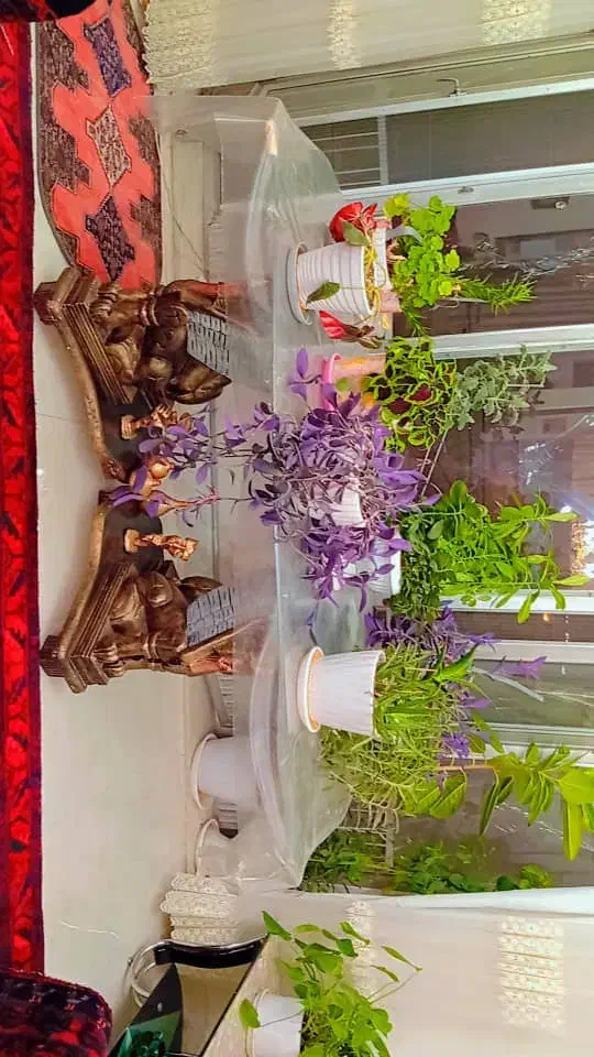 میز شیشه ایی|مبلمان خانگی و میز عسلی|سنندج, |دیوار