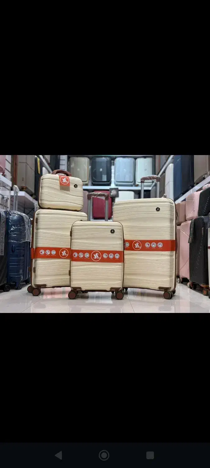 چمدان|کیف، کفش، کمربند|گنبد کاووس, |دیوار