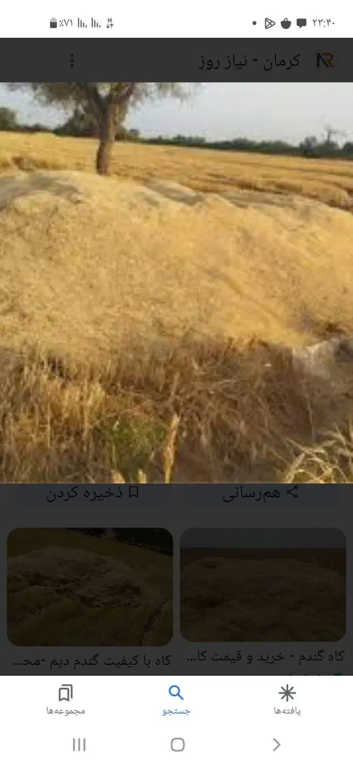 کاه درجه ۱|خدمات باغبانی و درختکاری|دهگلان, |دیوار