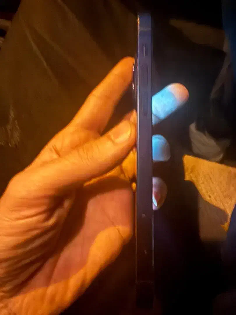 Iphone 12 normal|موبایل|شیراز, آبیاری|دیوار