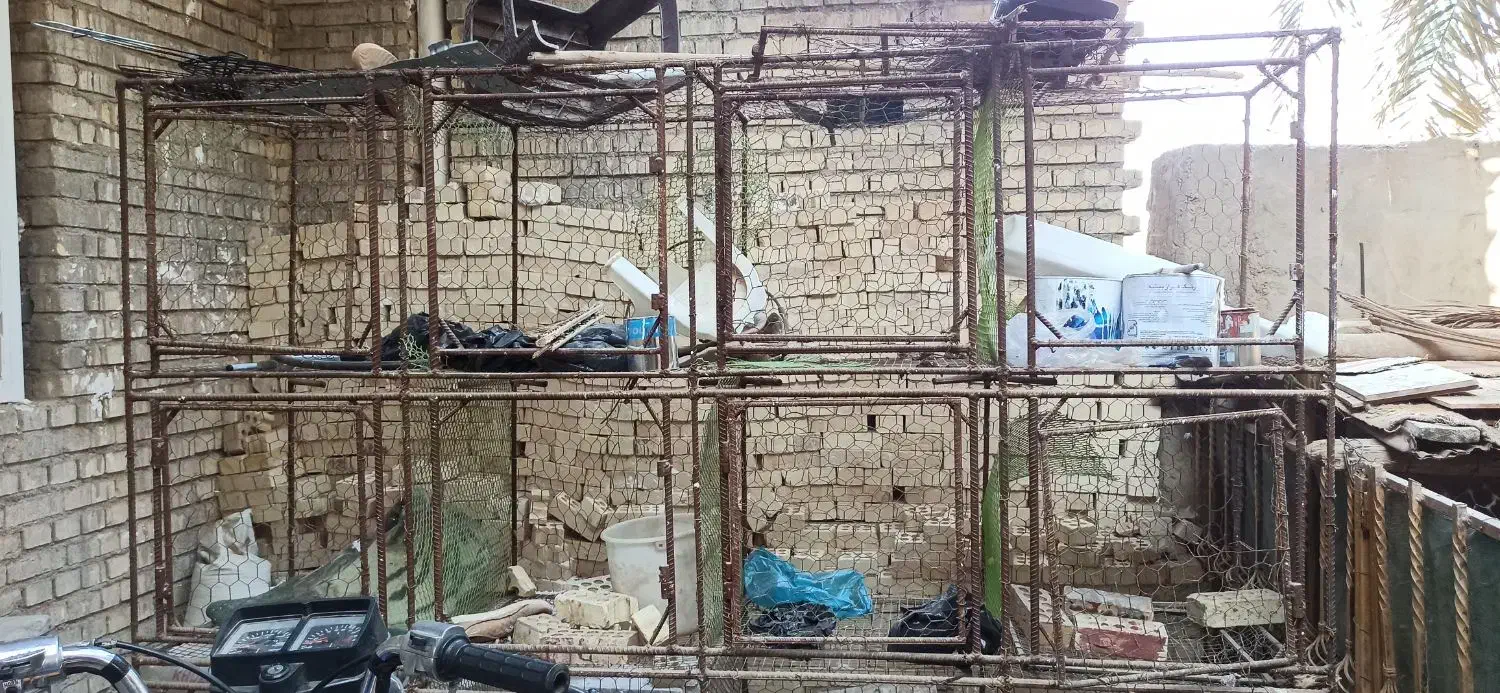 قفس پرنده|لوازم جانبی حیوانات|سوسنگرد, |دیوار