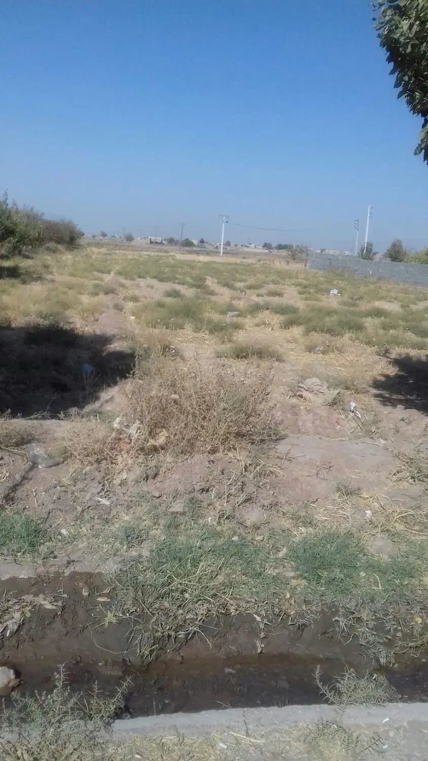 سه هزارمترزمین مشاهیر|فروش زمین و ملک کلنگی|نیشابور, شهرکهنه|دیوار