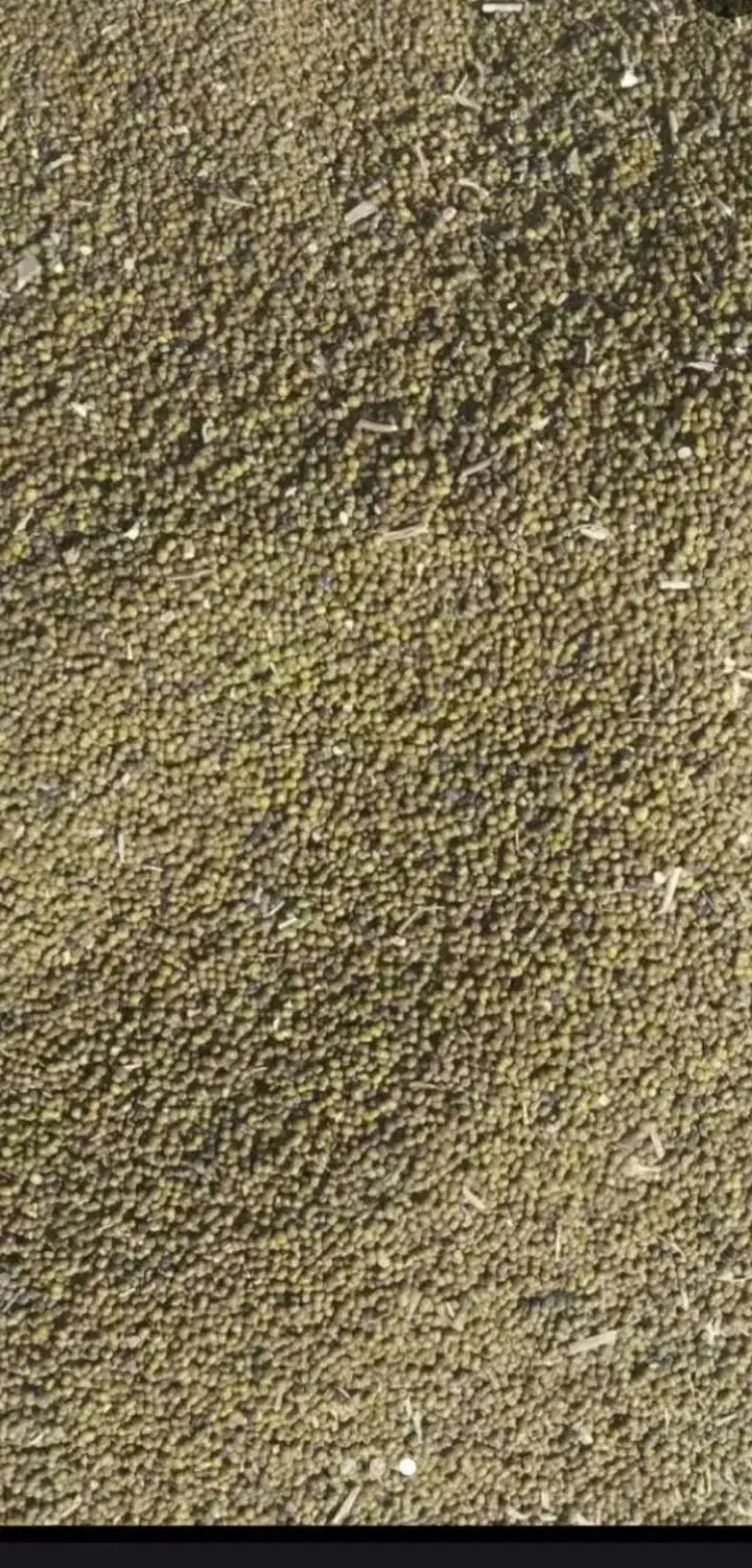 ماش|خوردنی و آشامیدنی|چگنی, |دیوار