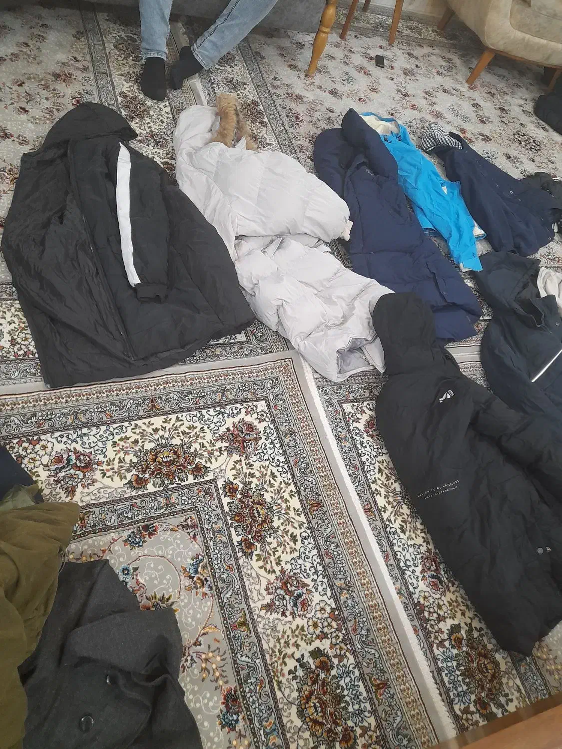 کاپشن خارجی|لباس|تربتحیدریه, سیلوی گندم|دیوار