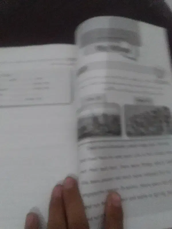 کتاب انگلیسی هشتم|کتاب و مجله آموزشی|تایباد, |دیوار