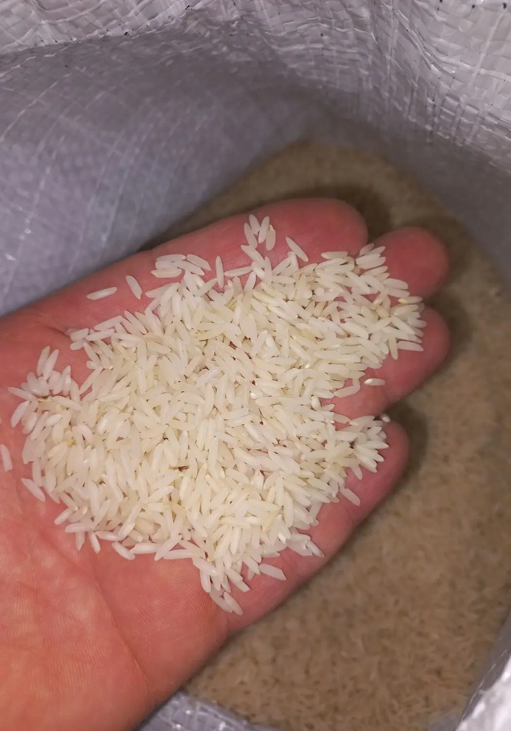 برنج هاشمی صومعه سرا|خوردنی و آشامیدنی|تهران, توحید|دیوار