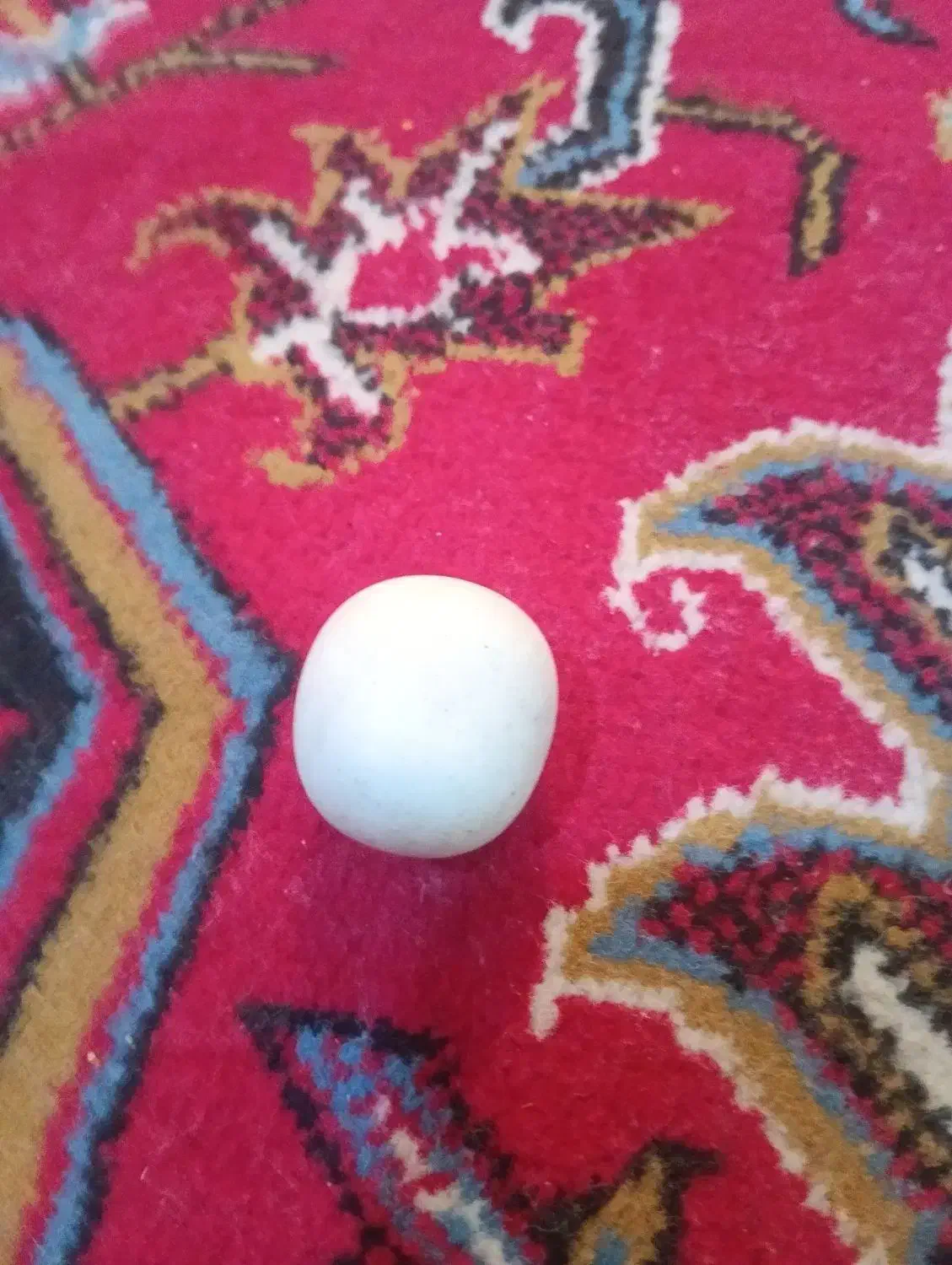 سنگ الماس آسیاب|کلکسیون اشیاء عتیقه|دهاقان, |دیوار