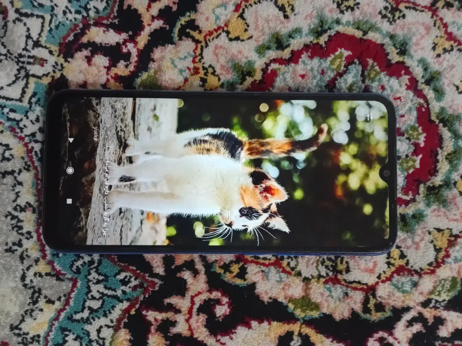 گوشی poco c3|موبایل|آشخانه, |دیوار