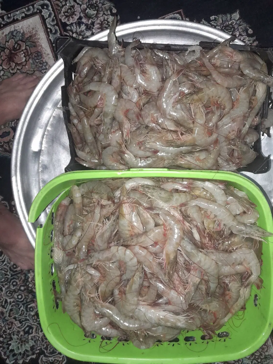 میگو|خوردنی و آشامیدنی|آبپخش, |دیوار