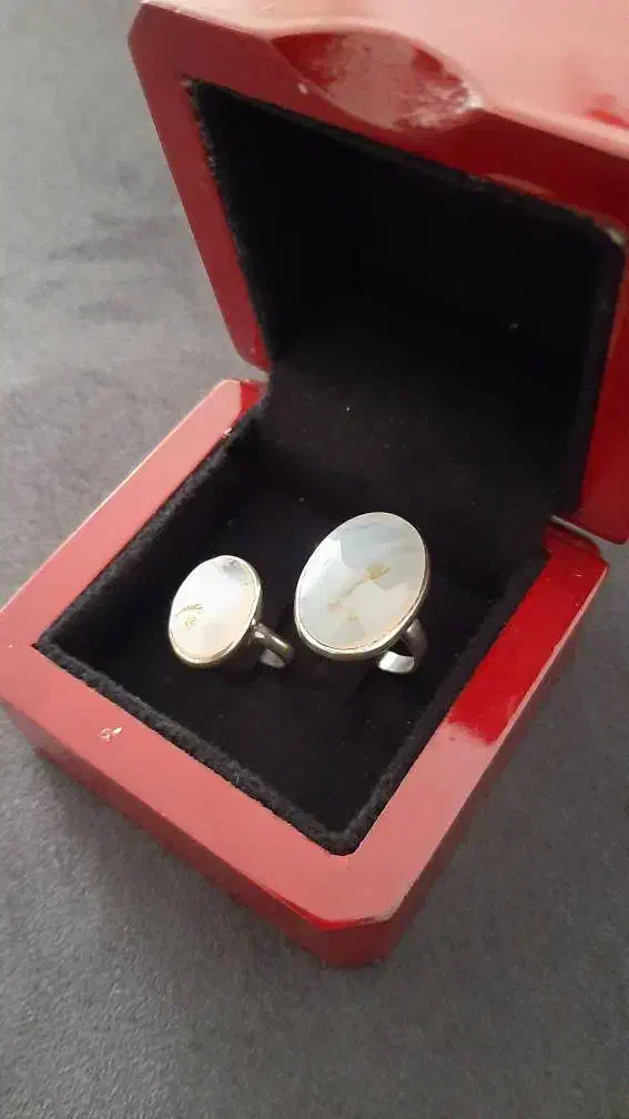 ست شجر|جواهرات|کرج, باغستان|دیوار