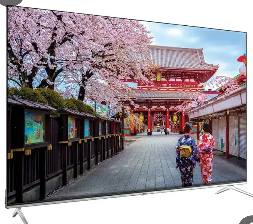 کیو ال ای دی 65 اینچ آیوا مدل M8|تلویزیون و پروژکتور|مشهد, چهنو|دیوار