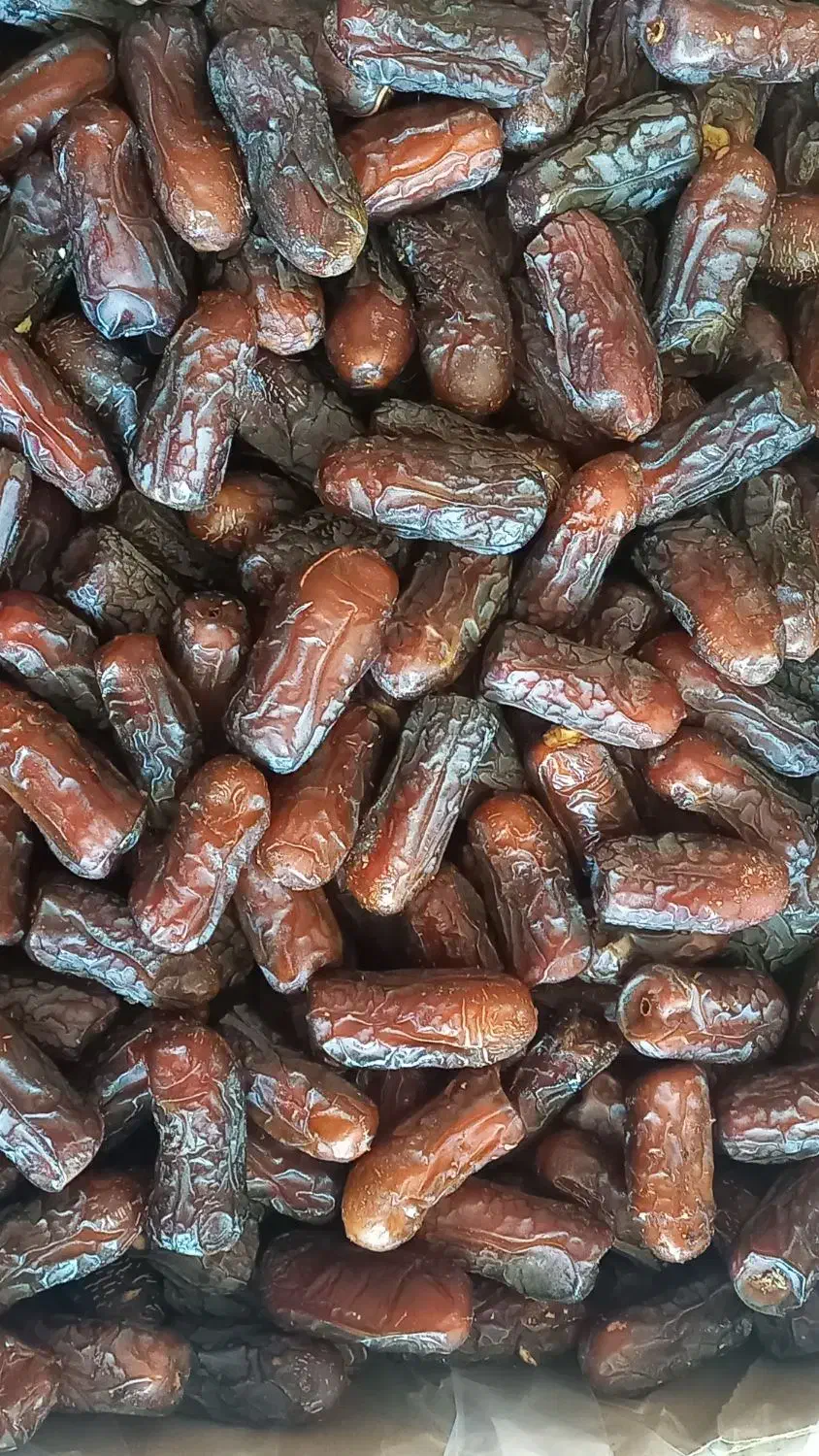 فروش خرمای پیارم لوکس|خوردنی و آشامیدنی|یزد, |دیوار