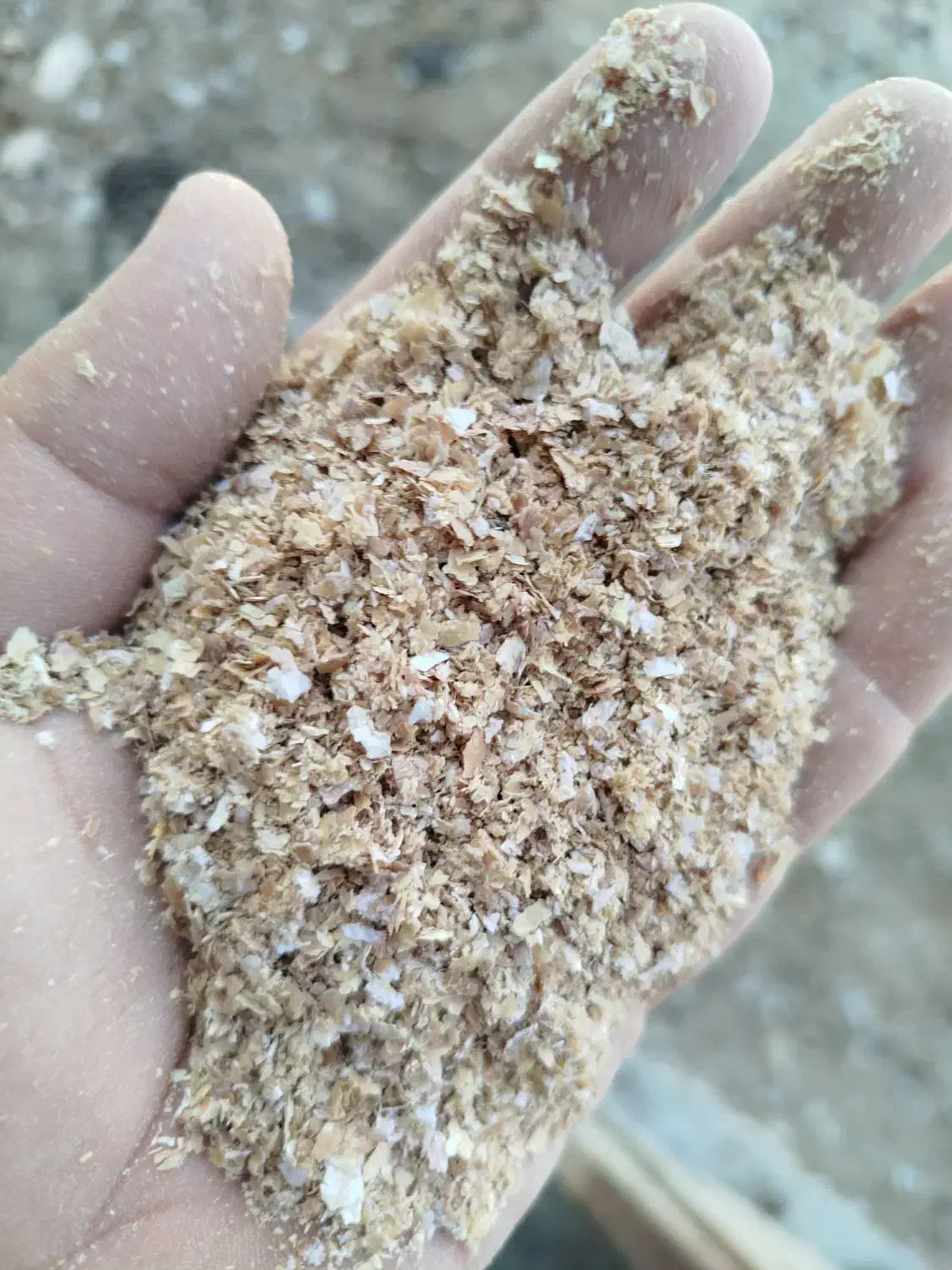 سبوس و کنسانتره پروار|عمدهفروشی|کاشمر, |دیوار