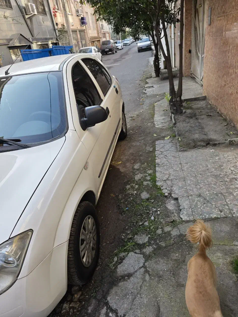 تیبا۲ مدل ۹۹|خودرو سواری و وانت|لنگرود, |دیوار