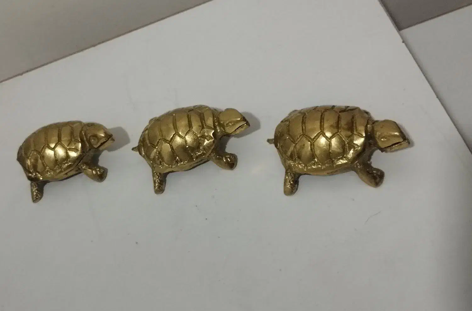 لاک پشت برنجی|مجسمه، تندیس، ماکت|اردبیل, |دیوار