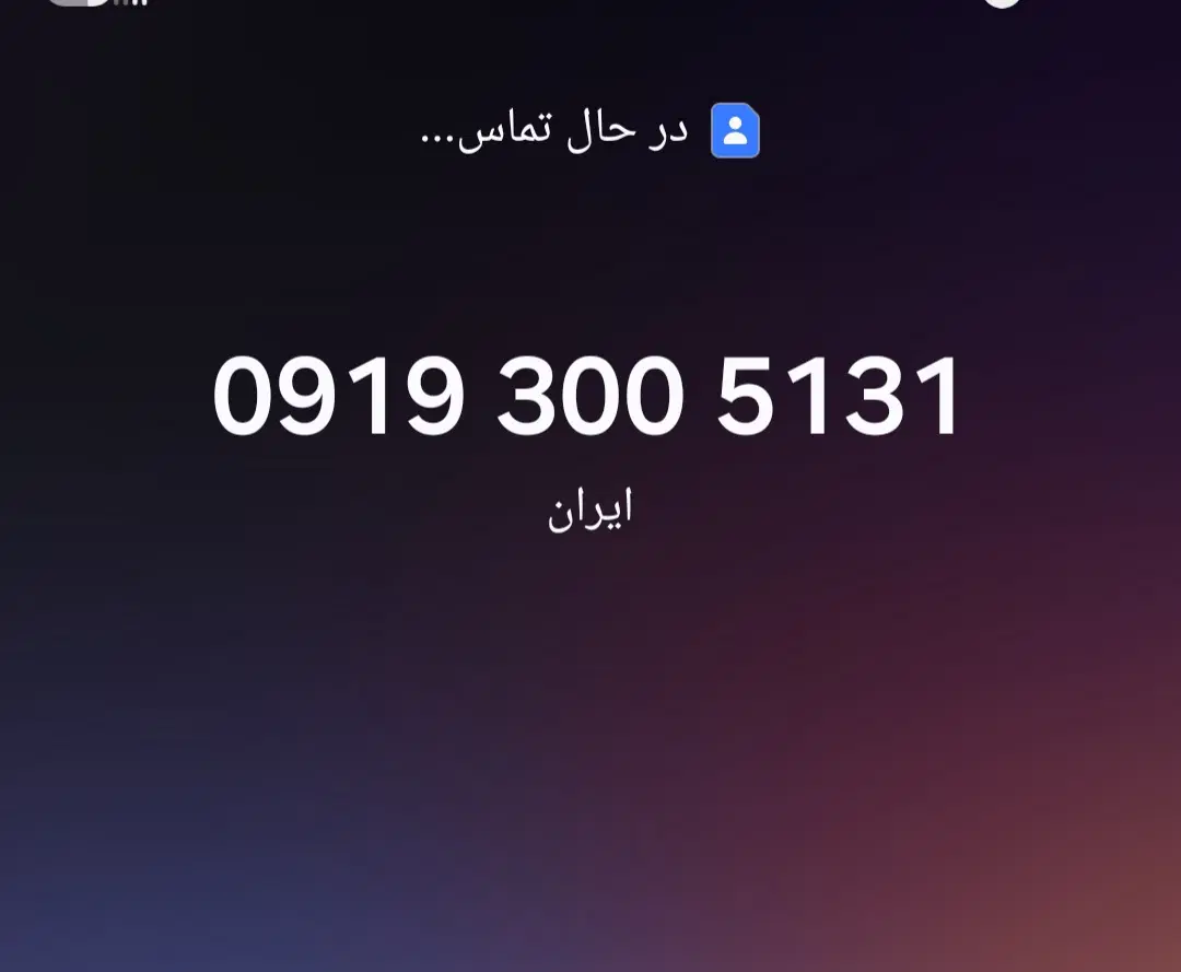 31 51 300 0919|سیم‌کارت|تهران, صادقیه|دیوار