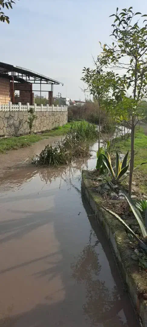 ۲۰۷*مترشهرکی/اقساطی|فروش زمین و ملک کلنگی|آمل, |دیوار