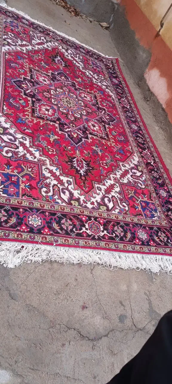 فرش دستباف|فرش|آذرشهر, |دیوار