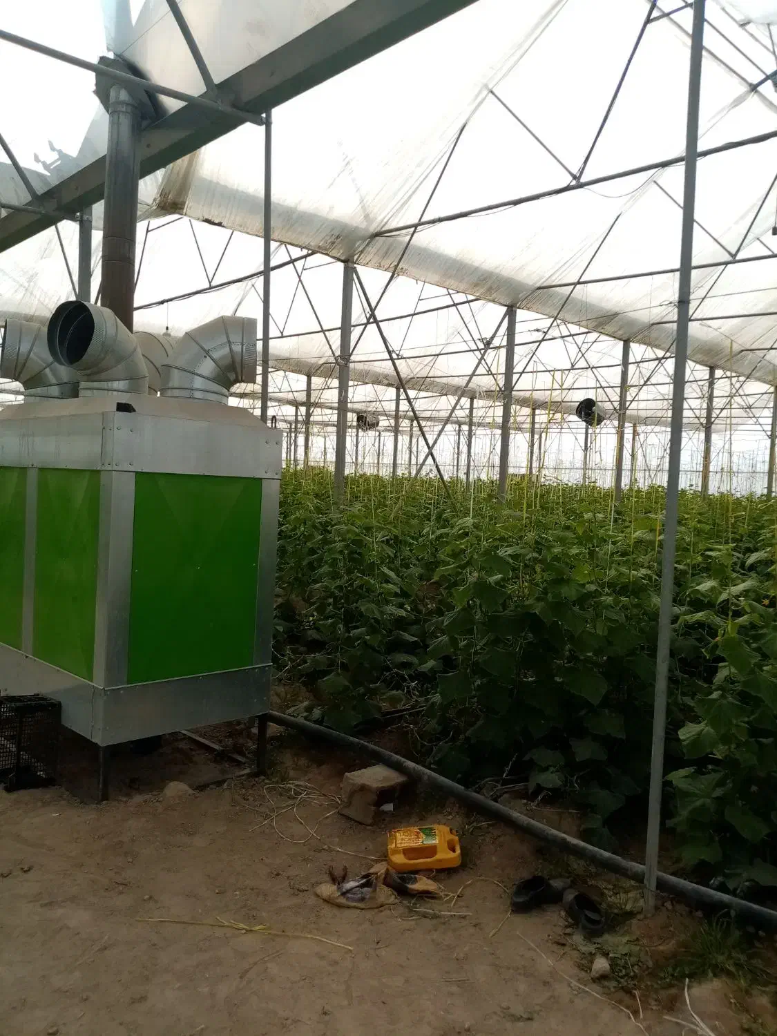 فروش ۱۵ هکتار زمین کشاورزی وگلخانه در بیضا|فروش زمین و ملک کلنگی|بیضا, |دیوار