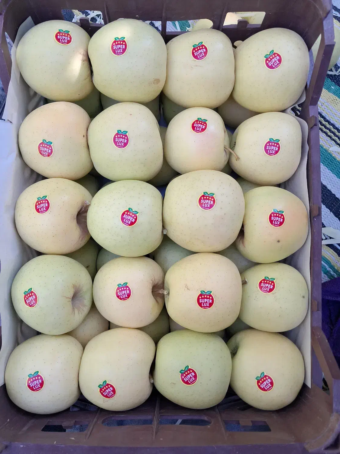 سیب درختی درجه ممتاز|خوردنی و آشامیدنی|تهران, محمودیه|دیوار