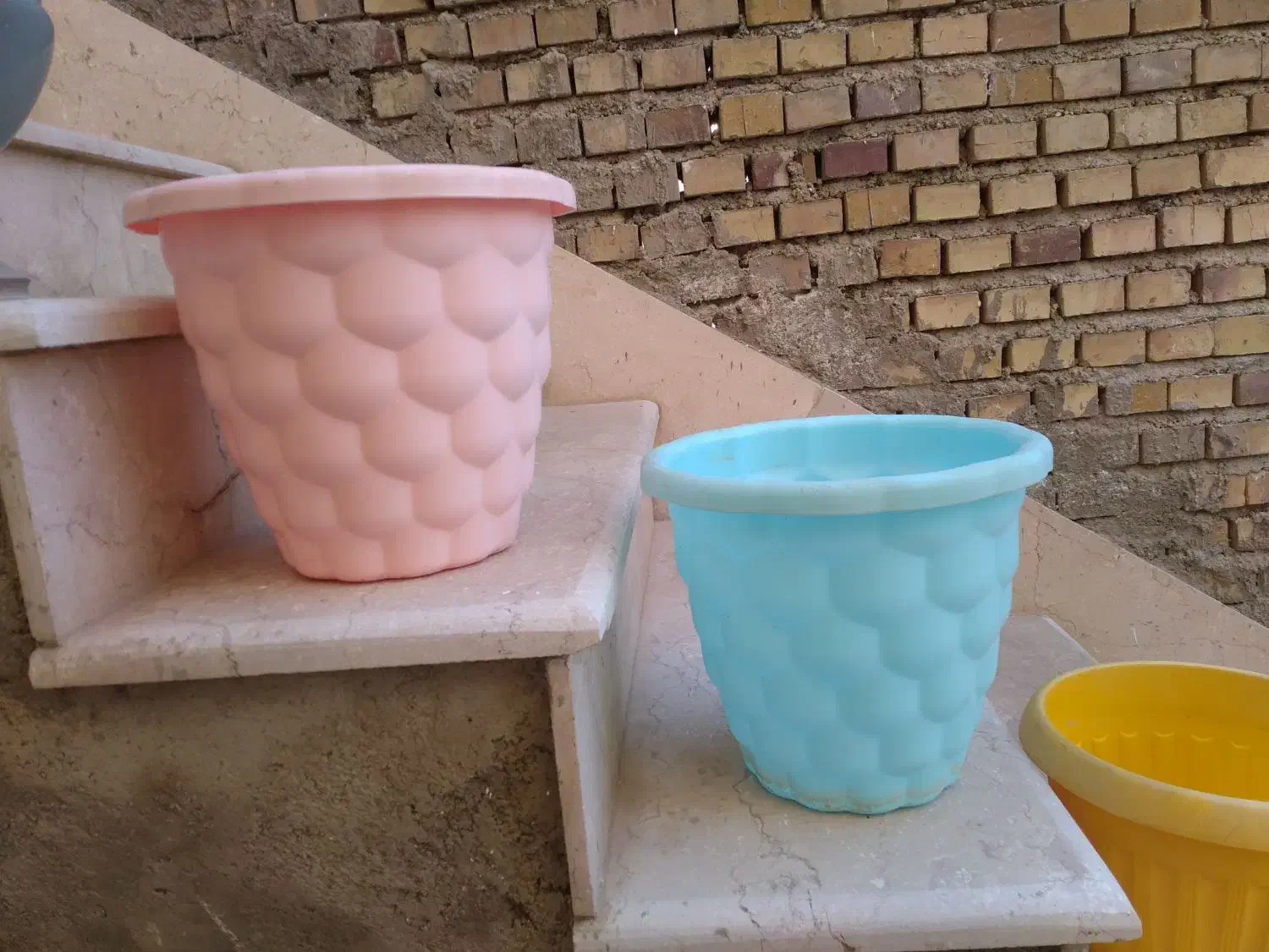 گلدان های تمیز سفالی و پلاستیکی سالم|گل و گیاه طبیعی|گنبد کاووس, |دیوار